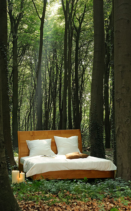 Bett im Wald
